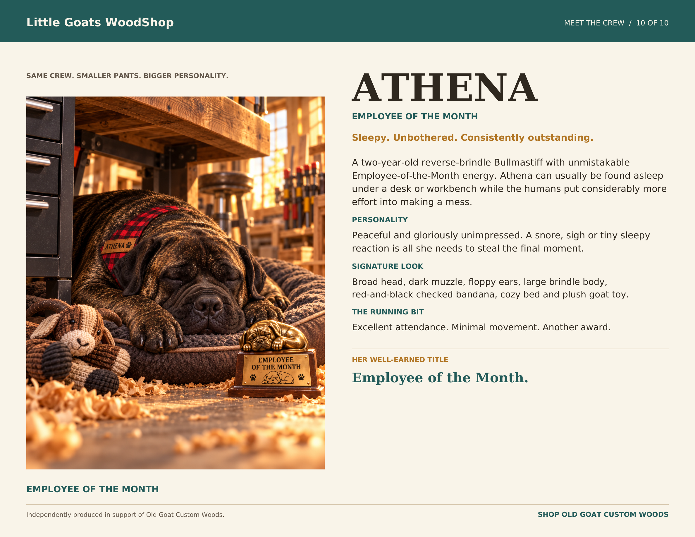 Athena’s character card: Employee of the Month. Sleepy. Unbothered. Consistently outstanding. Athena rests under a workbench beside her plush goat and trophy.